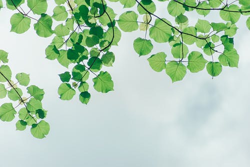 国产末成年呦交在线